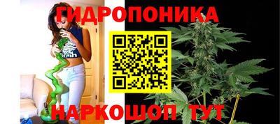 mdma Бийск